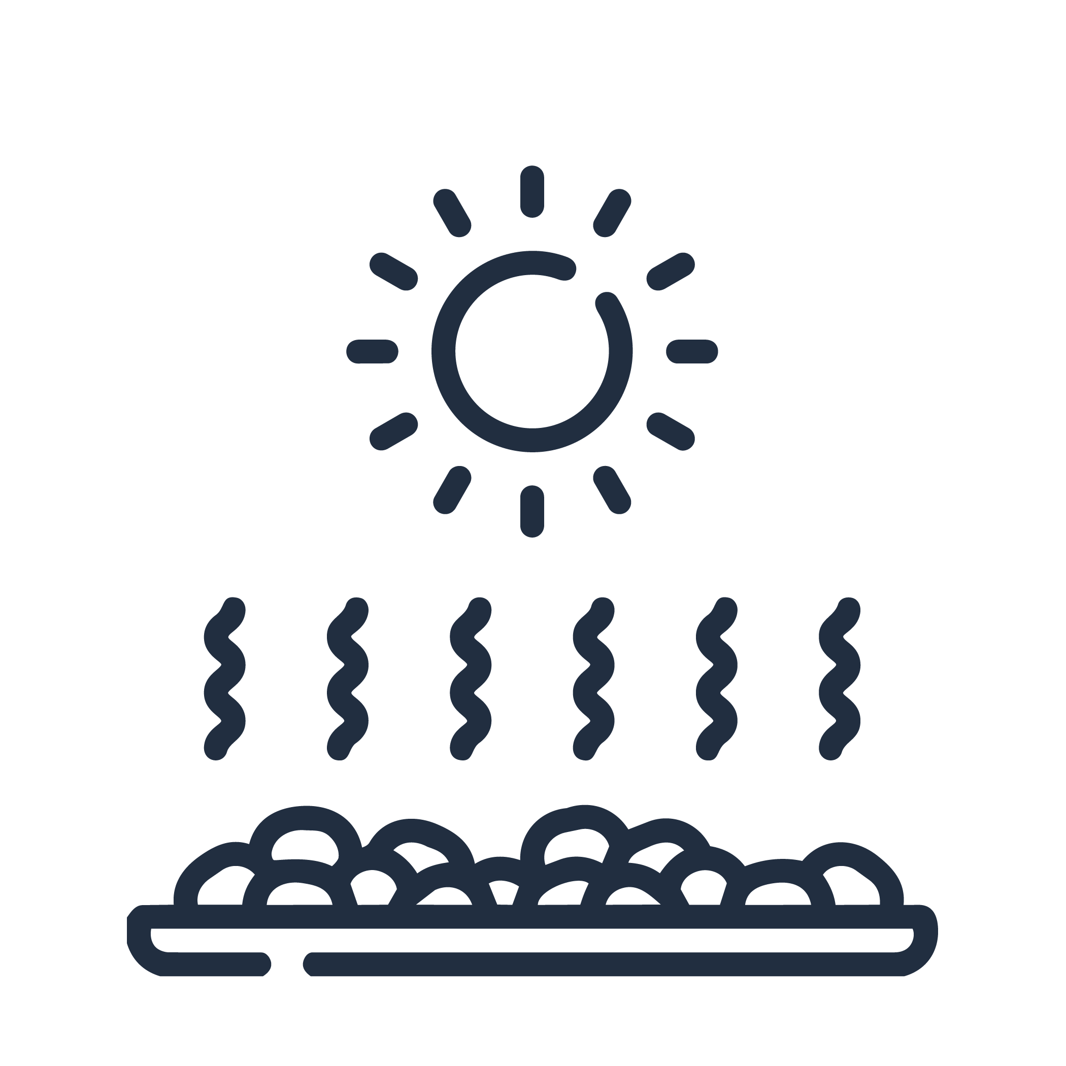 Moringa Leaf Cluster