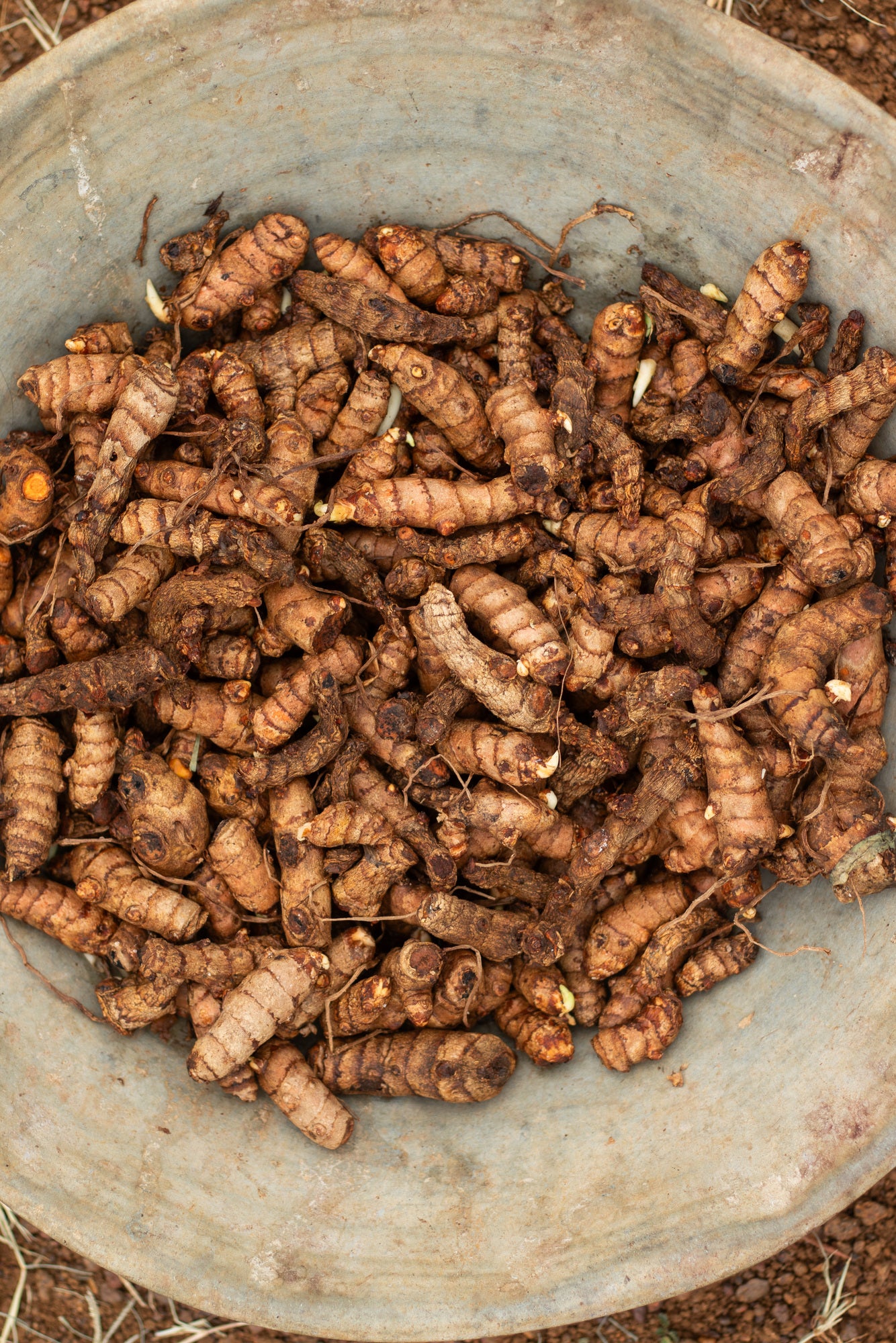 Load video: Did you know it takes 1.5 months to dry turmeric?
