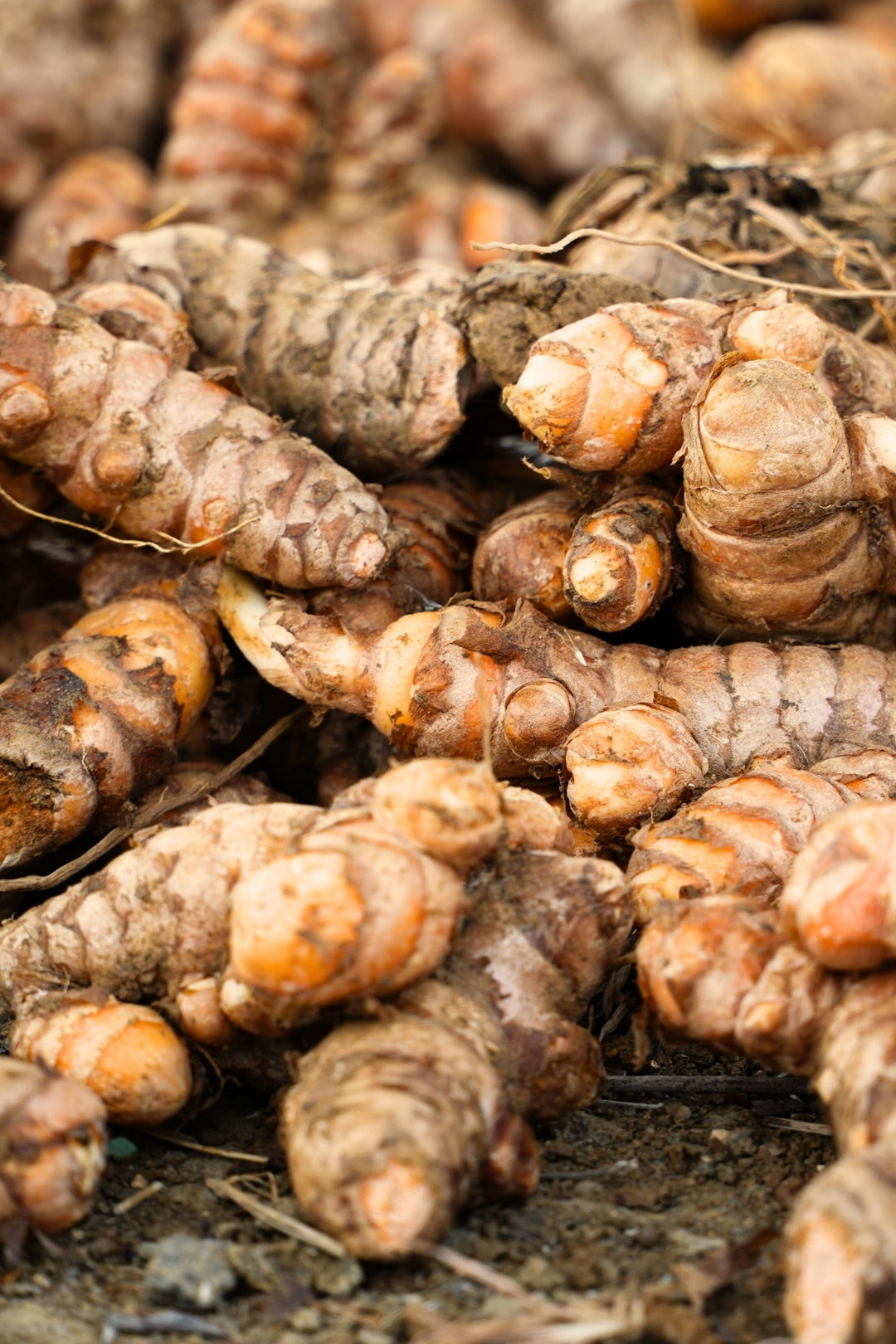 Load video: Did you know it takes 1.5 months to dry turmeric?